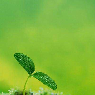 十一选五软件下载安装