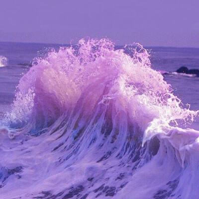 买球的app排行榜前十名推荐下载手机版截图